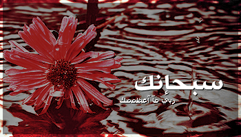 2014  2014 %D8%B1%D9%85